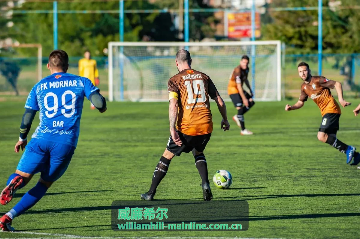 威廉希尔王者荣耀世界冠军杯决赛